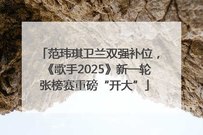 范玮琪卫兰双强补位，《歌手2025》新一轮张榜赛重磅“开大”