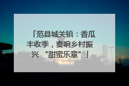 范县城关镇：香瓜丰收季，奏响乡村振兴 “甜蜜乐章”