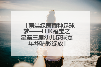 萌娃绿茵播种足球梦——LHK福宝之星第三届幼儿足球嘉年华精彩绽放