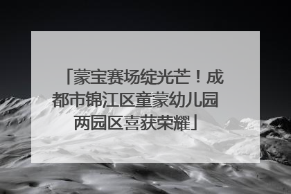 蒙宝赛场绽光芒！成都市锦江区童蒙幼儿园两园区喜获荣耀