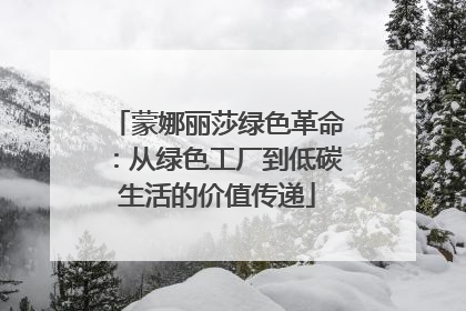 蒙娜丽莎绿色革命：从绿色工厂到低碳生活的价值传递