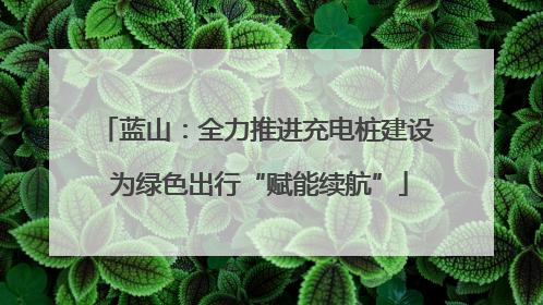 蓝山：全力推进充电桩建设 为绿色出行“赋能续航”