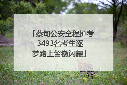 蔡甸公安全程护考 3493名考生逐梦路上警徽闪耀