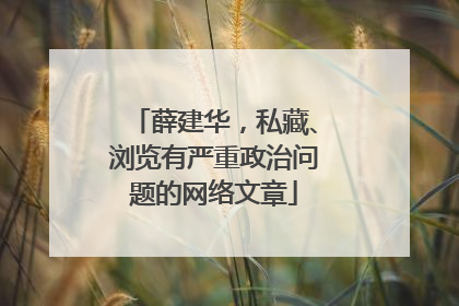 薛建华，私藏、浏览有严重政治问题的网络文章