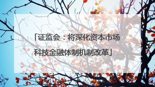 证监会：将深化资本市场科技金融体制机制改革