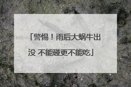 警惕！雨后大蜗牛出没 不能碰更不能吃