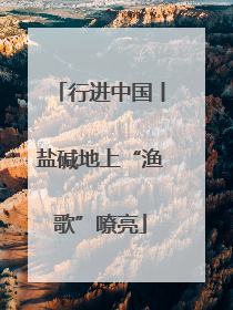 行进中国丨盐碱地上“渔歌”嘹亮