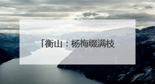 衡山：杨梅缀满枝 采摘尝鲜正当时