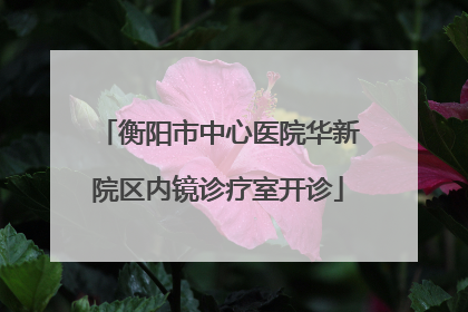 衡阳市中心医院华新院区内镜诊疗室开诊