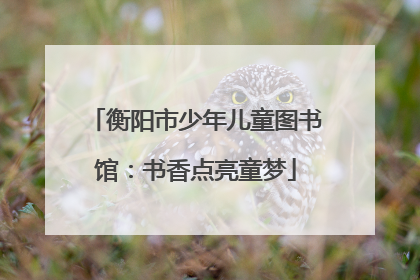 衡阳市少年儿童图书馆：书香点亮童梦