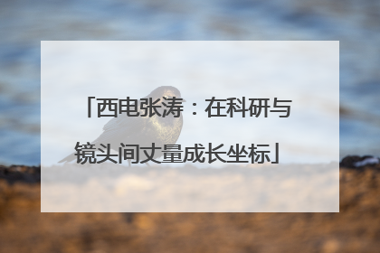 西电张涛：在科研与镜头间丈量成长坐标