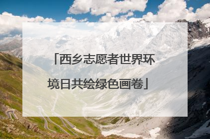 西乡志愿者世界环境日共绘绿色画卷