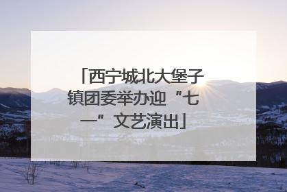 西宁城北大堡子镇团委举办迎“七一”文艺演出
