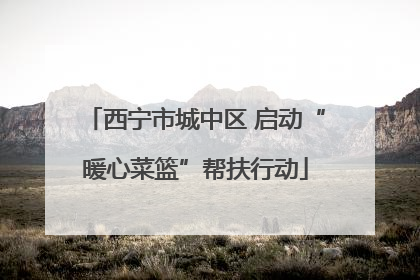 西宁市城中区 启动“暖心菜篮”帮扶行动