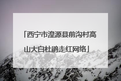 西宁市湟源县前沟村高山大白杜鹃走红网络
