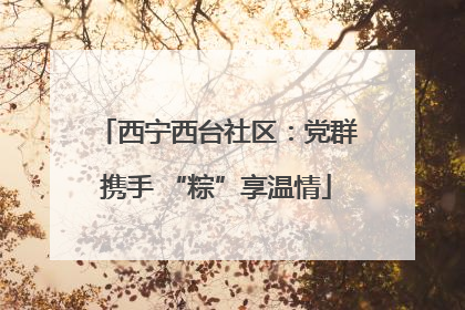 西宁西台社区：党群携手 “粽”享温情