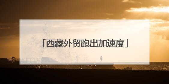 西藏外贸跑出加速度