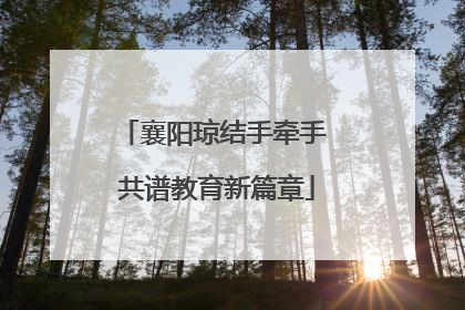 襄阳琼结手牵手 共谱教育新篇章