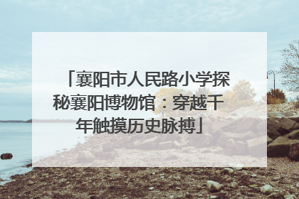 襄阳市人民路小学探秘襄阳博物馆：穿越千年触摸历史脉搏