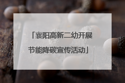 襄阳高新二幼开展节能降碳宣传活动