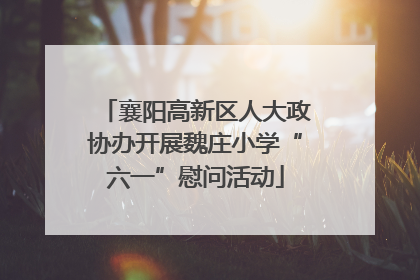 襄阳高新区人大政协办开展魏庄小学“六一”慰问活动