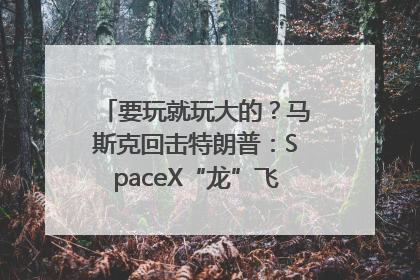 要玩就玩大的？马斯克回击特朗普：SpaceX“龙”飞船将立即退役！