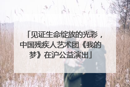 见证生命绽放的光彩，中国残疾人艺术团《我的梦》在沪公益演出
