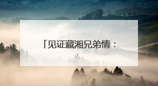 见证藏湘兄弟情：西藏山南特色产品亮相第四届中国-非洲经贸博览会