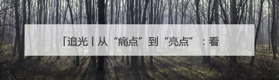 追光丨从“痛点”到“亮点”：看文昌街道如何绣出村居发展新图景