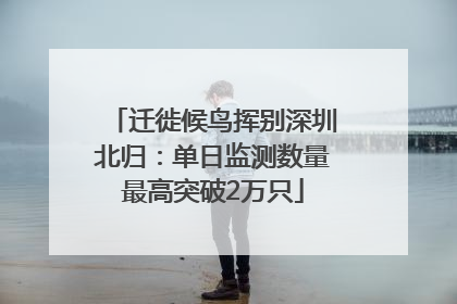迁徙候鸟挥别深圳北归：单日监测数量最高突破2万只