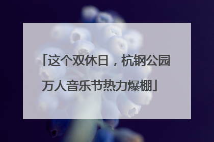 这个双休日，杭钢公园万人音乐节热力爆棚