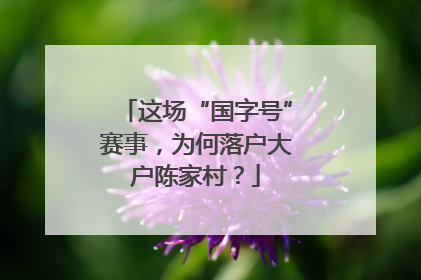 这场“国字号”赛事，为何落户大户陈家村？