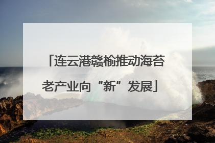连云港赣榆推动海苔老产业向“新”发展