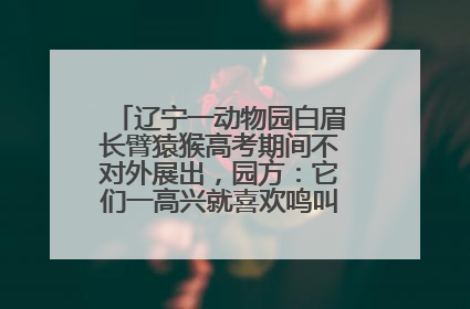 辽宁一动物园白眉长臂猿猴高考期间不对外展出，园方：它们一高兴就喜欢鸣叫，怕影响考试