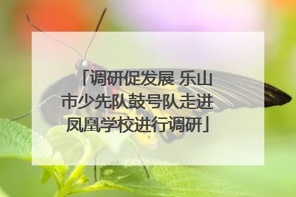 调研促发展 乐山市少先队鼓号队走进凤凰学校进行调研