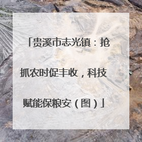 贵溪市志光镇：抢抓农时促丰收，科技赋能保粮安（图）