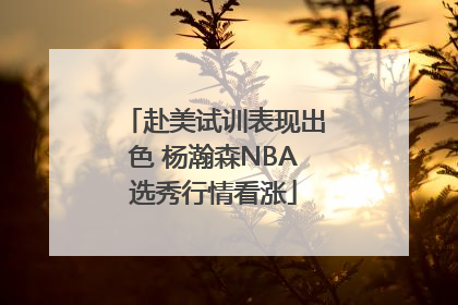 赴美试训表现出色 杨瀚森NBA选秀行情看涨