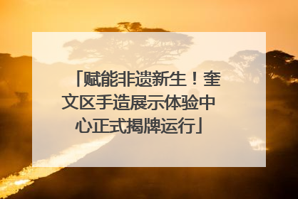 赋能非遗新生！奎文区手造展示体验中心正式揭牌运行