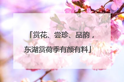 赏花、尝珍、品韵，东湖赏荷季有颜有料