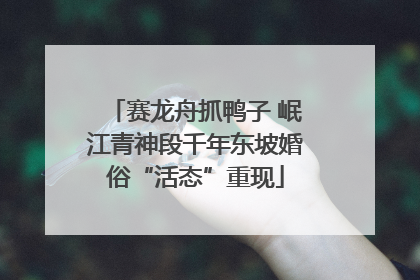 赛龙舟抓鸭子 岷江青神段千年东坡婚俗“活态”重现