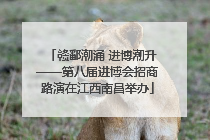 赣鄱潮涌 进博潮升——第八届进博会招商路演在江西南昌举办