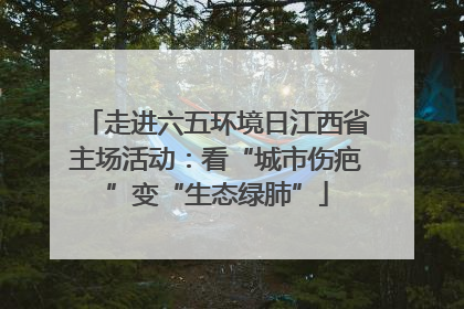 走进六五环境日江西省主场活动：看“城市伤疤”变“生态绿肺”