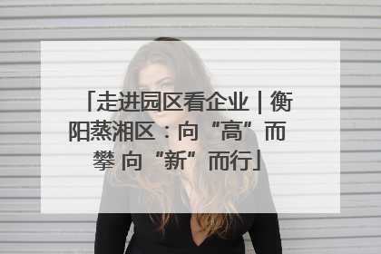 走进园区看企业｜衡阳蒸湘区：向“高”而攀 向“新”而行