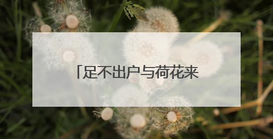 足不出户与荷花来一场浪漫约会！湖北推出赏荷地图