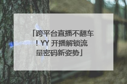 跨平台直播不翻车！YY 开播解锁流量密码新姿势