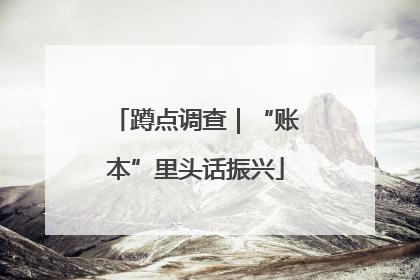 蹲点调查｜“账本”里头话振兴