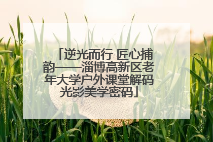 逆光而行 匠心捕韵——淄博高新区老年大学户外课堂解码光影美学密码