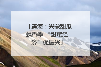 通海：兴蒙甜瓜飘香季 “甜蜜经济”促振兴