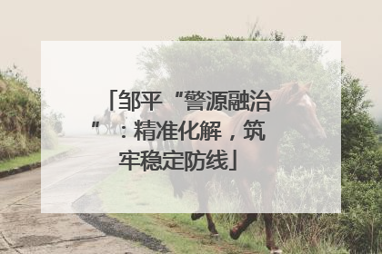 邹平“警源融治”：精准化解，筑牢稳定防线