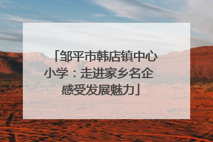 邹平市韩店镇中心小学：走进家乡名企 感受发展魅力